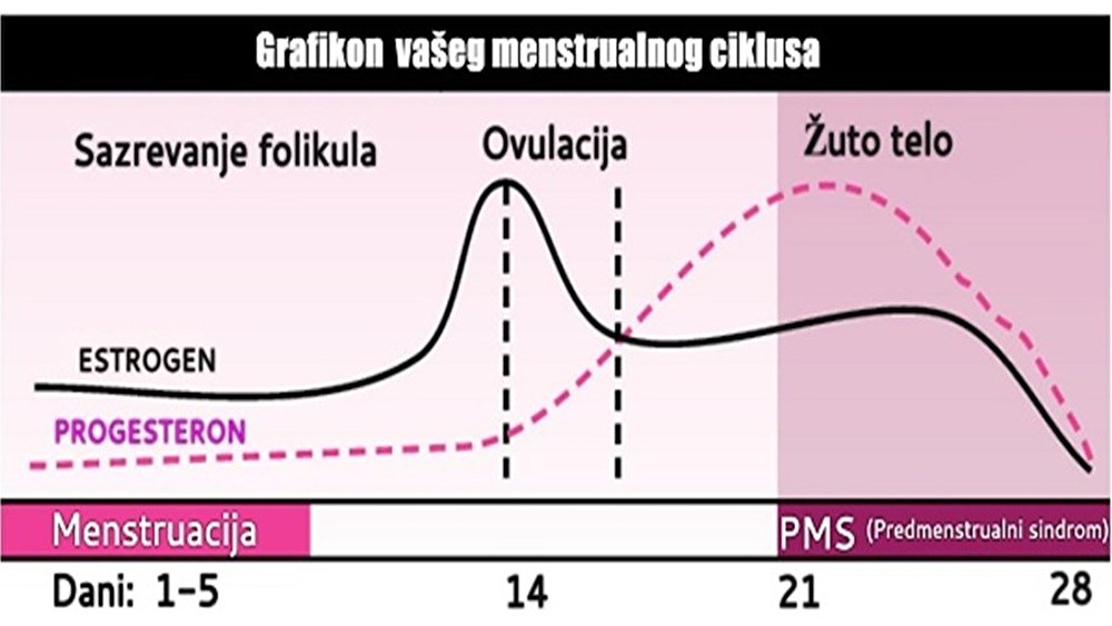 Grafikon_mensturalnog_ciklusa.jpg